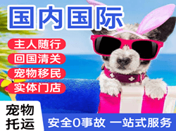毕节飞雄机场货运国际宠物托运 【国